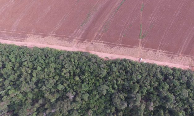 Dia Mundial do Meio Ambiente, uma data para se conscientizar, já que no Brasil não há muito o que comemorar.