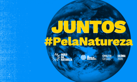 ONU CELEBRA DIA MUNDIAL DO MEIO AMBIENTE COM SHOW E DEBATES