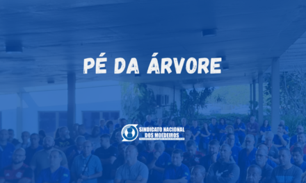 Pé da Árvore – 20 de março de 2025